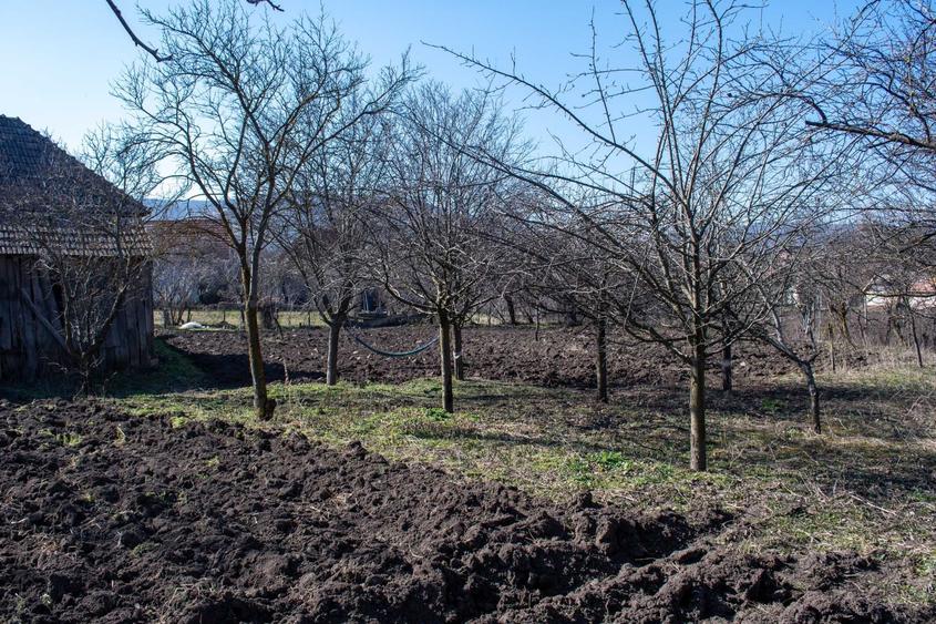 Casă cu 3 camere în Moldovenești
