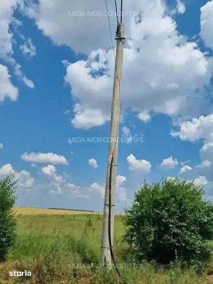 Teren de 428.99 mp, în Brănești