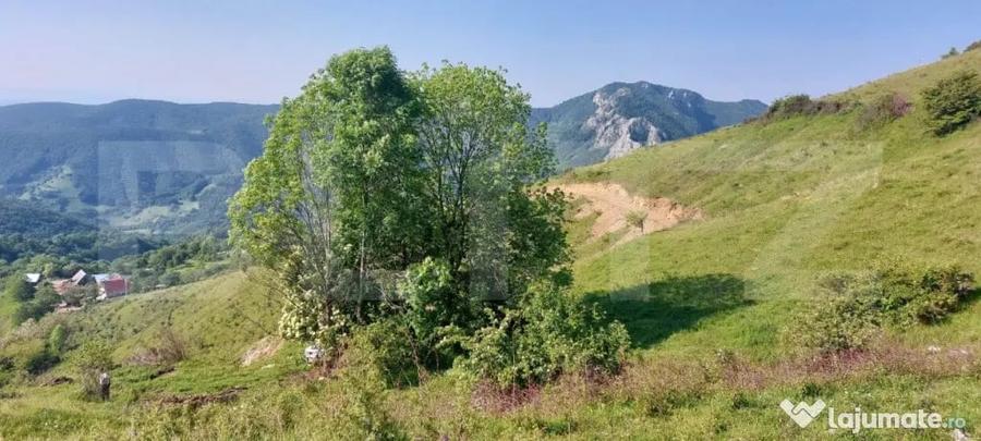 Teren de 3800 mp, în Central