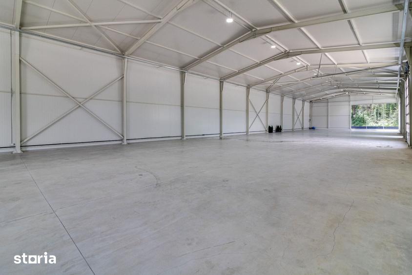 Reprezentanta PREMIUM| Hala Showroom 988mp, locatie exceptionala! - 13