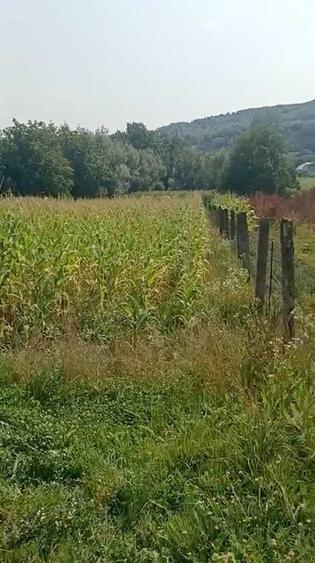 Casă cu 3 camere în Bălăceana