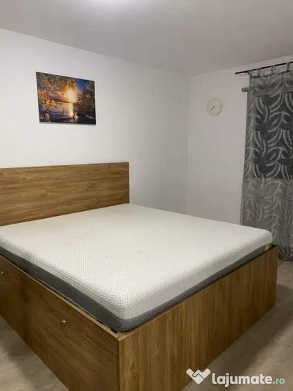 Apartament cu 2 camere decomandat în Ozana