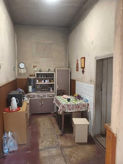 Casa individuala cu gradina - 1