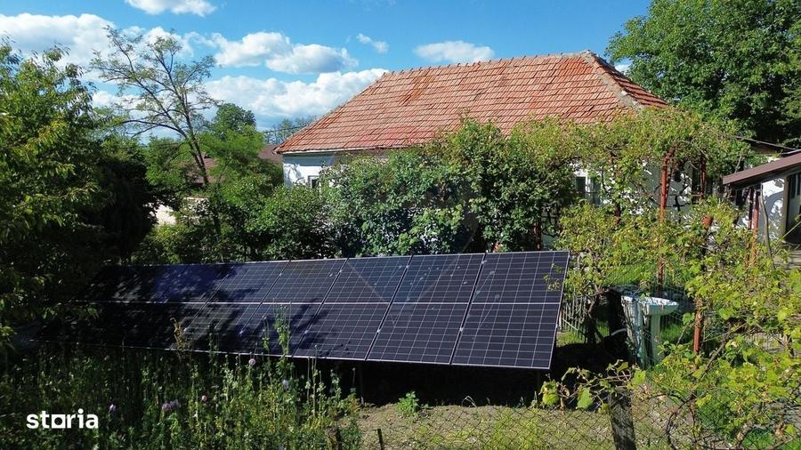 Casa de vanzare in natura la tara - Mihaesti - 5