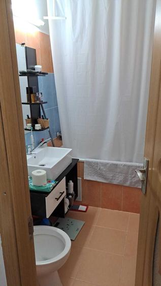Apartament cu 3 camere decomandat în Dosu Bricii
