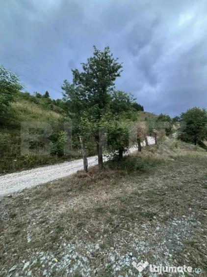 Teren de 1585 mp, în Central