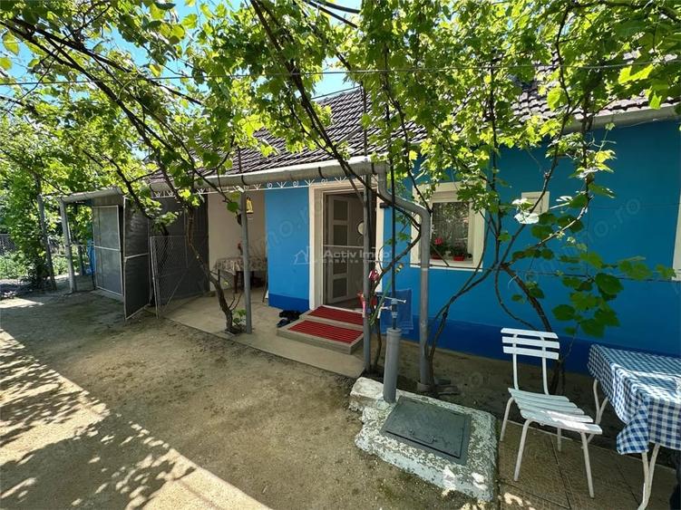 Casă cu Teren 1501 Mp în Birda