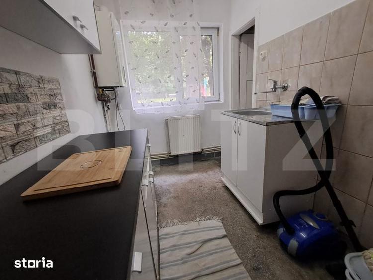 Apartament de Inchiriat Nicolae Balcescu - 3