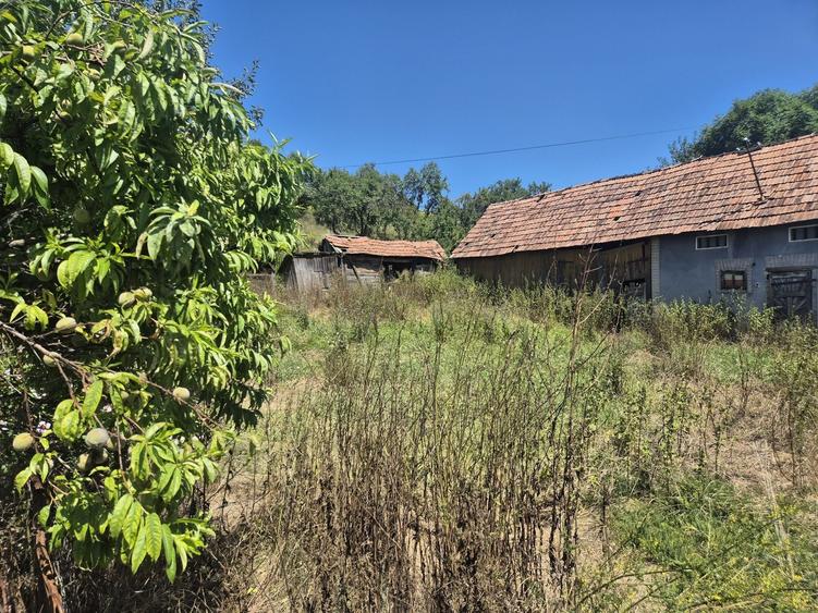 Casă cu 4 camere în Exterior Vest