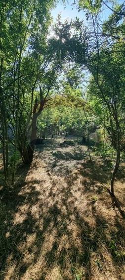 Teren Construcții de 12584 mp, în Căldăraru