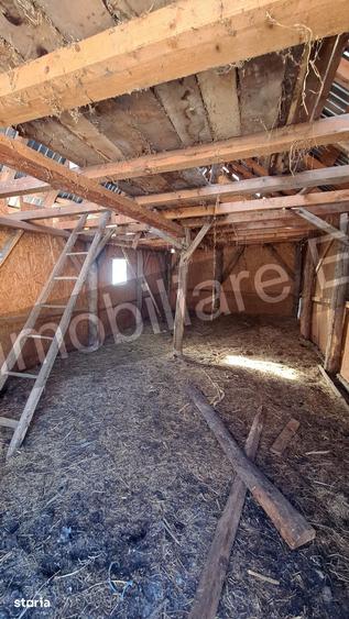 Casă cu 3 camere cu Teren 3877 Mp în Valea Danului