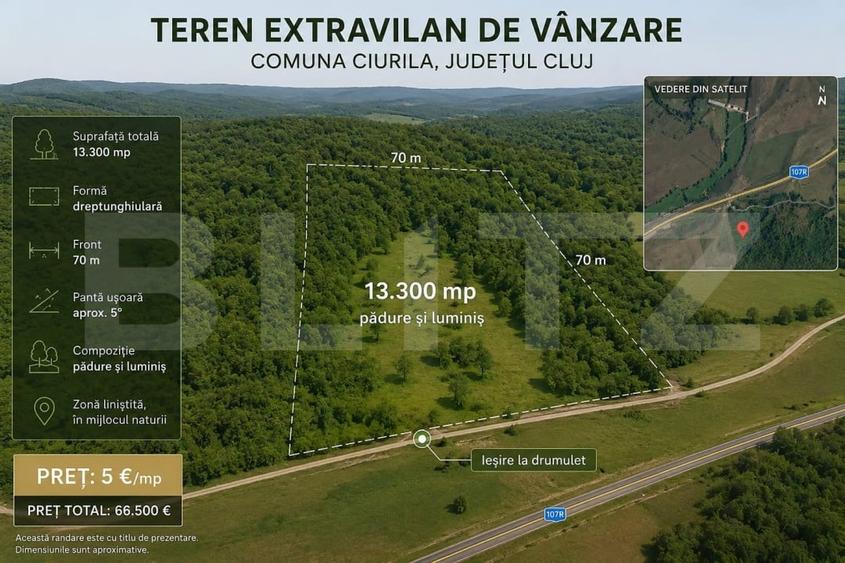 Teren extravilan, 13.300 mp în Ciurila | Formă dreptunghiulară | 5 €/mp - 1