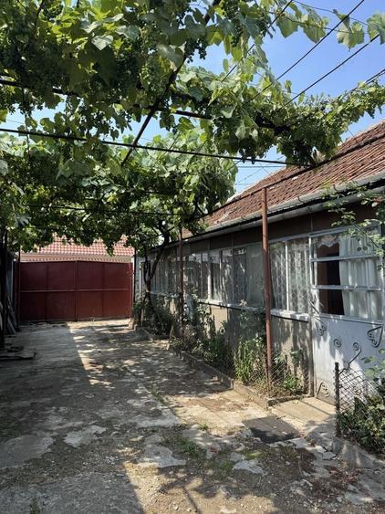 Vand Casa Iosia - 3