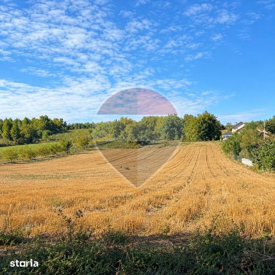 Teren de 9012 mp, în Săucești