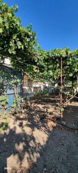 Casa cu 3 camere, anexe, curte si gradina - 6