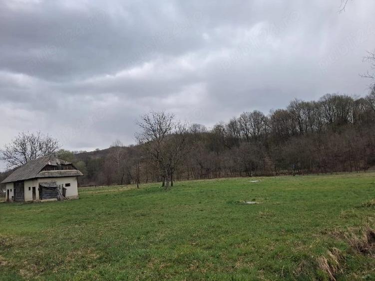 Teren de 5500 mp, în Făurești
