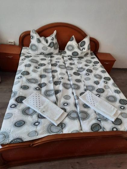 Apartament cu 2 camere decomandat în Nufărul
