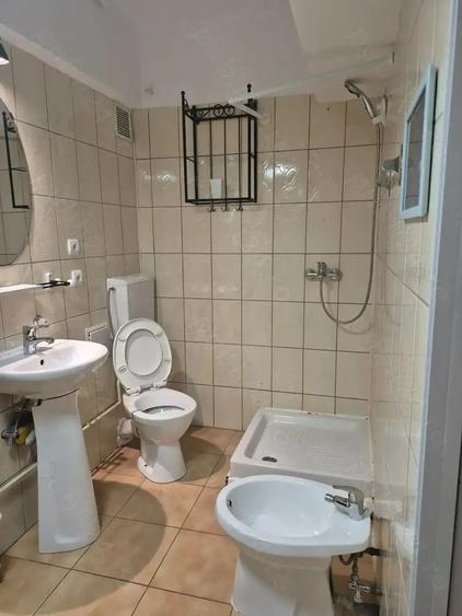 Cismigiu -Brezoianu, vand garsoniera - 2