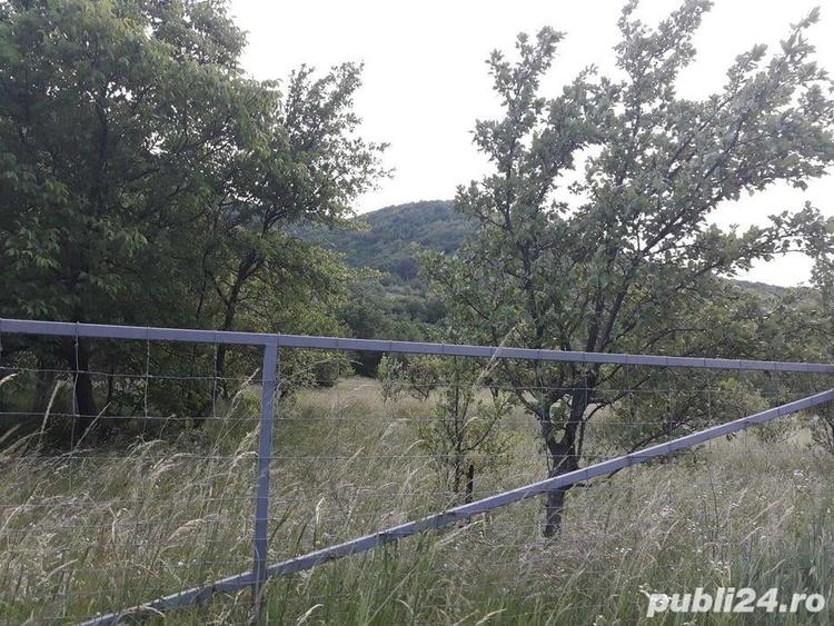 Teren de 5300 mp, în Suseni