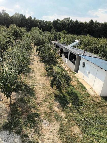 Casă cu 1 camere cu Teren 6000 Mp în Central