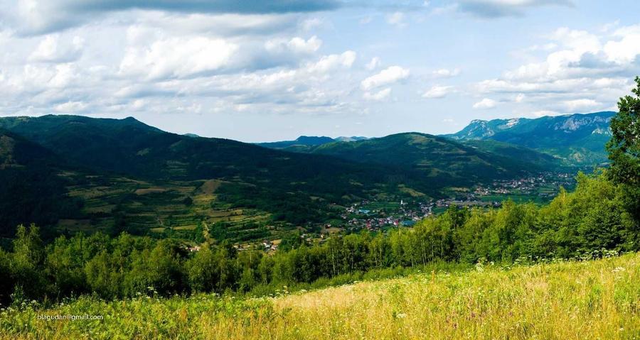 Spațiu comercial, în Deal