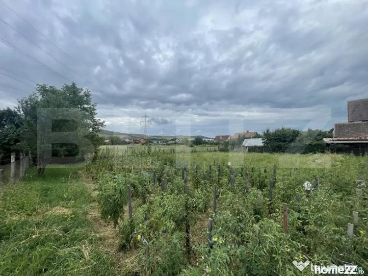 Teren de 1000 mp, în Viișoara