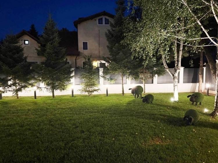 Casă individuală cu 6 camere cu Piscina în Iancu Nicolae