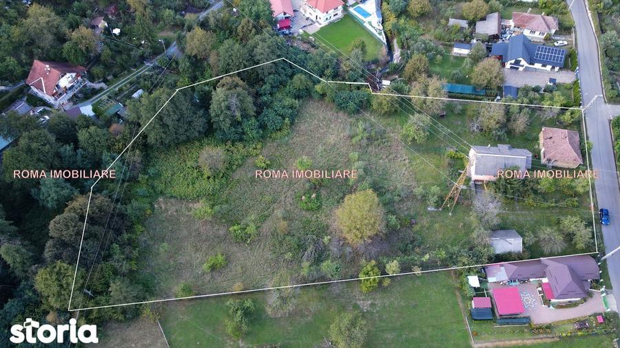 Casă cu 3 camere cu Teren 9000 Mp în Valea Borcutului