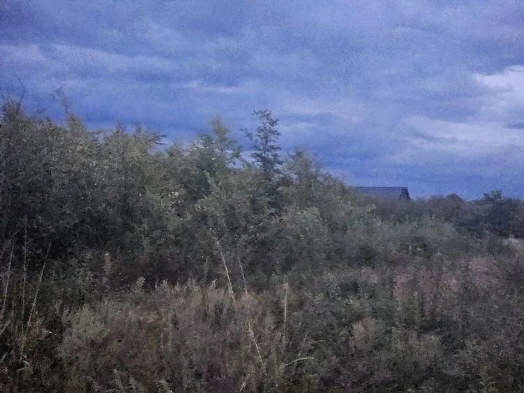 Teren de 500 mp, în Dămăroaia
