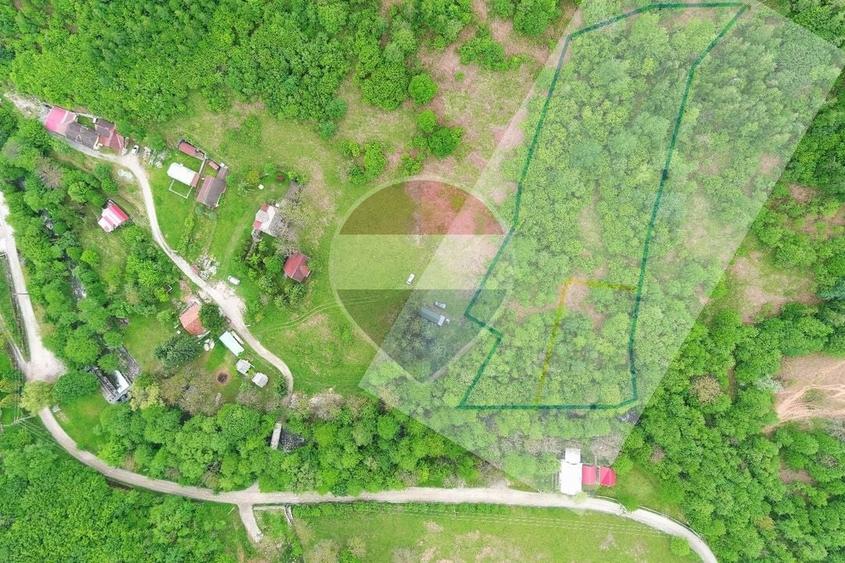 Teren Construcții intravilan de 6700 mp, în Pietroasa