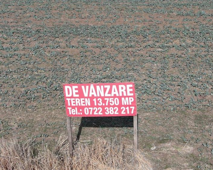 Teren în Central