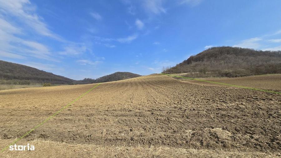 Teren de 7000 mp, în Hoghilag