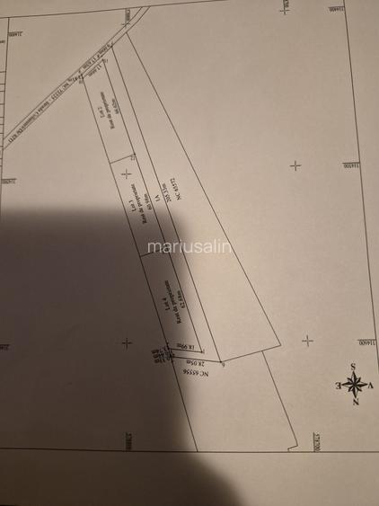 Vand teren magurele pruni