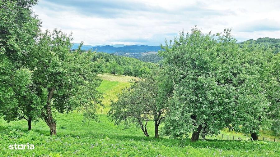 Teren de 1000mp in Bran, satul pitoresc Pestera - 15