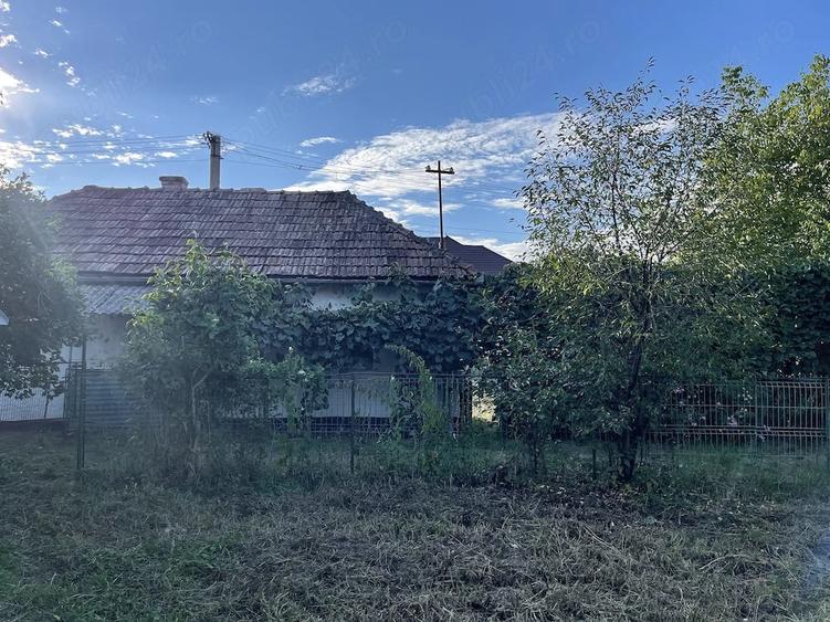 Casă cu Teren 971 Mp în Central