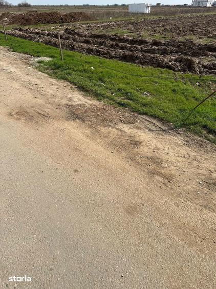 Teren de Vanzare, Comuna Berceni, Judetul Ilfov, Strada Intre Vii - 1