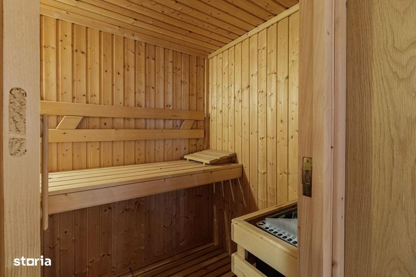 Domeniu privat 5.000 mp, cu resedinta de 625 mp si piscina, Corbeanca - 16