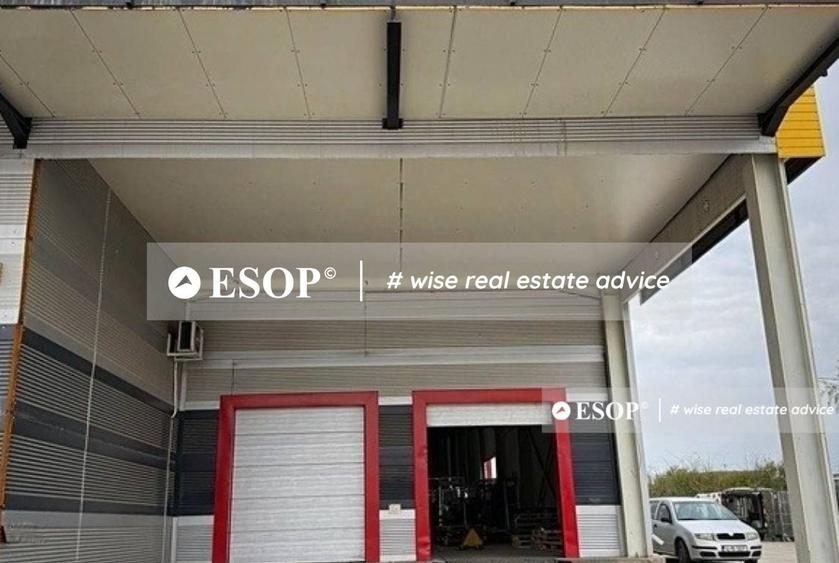 Spațiu industrial, de 2,450 mp, în Mogoșoaia