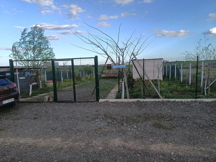 Teren de 849 mp, în Comana