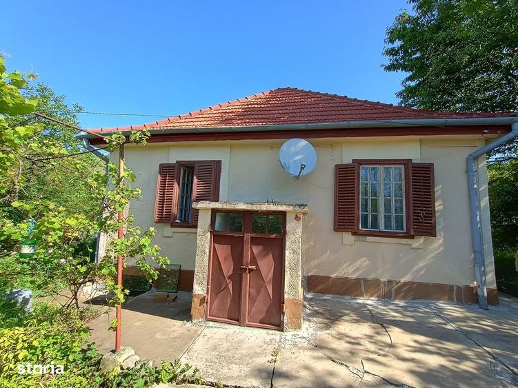 Casă cu 4 camere cu Teren 6000 Mp în Central