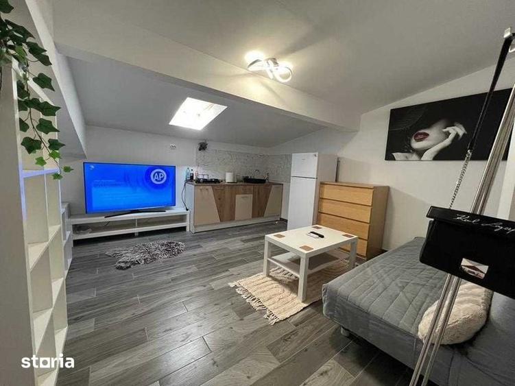 Otopeni Odai Mansarda Studio - 2