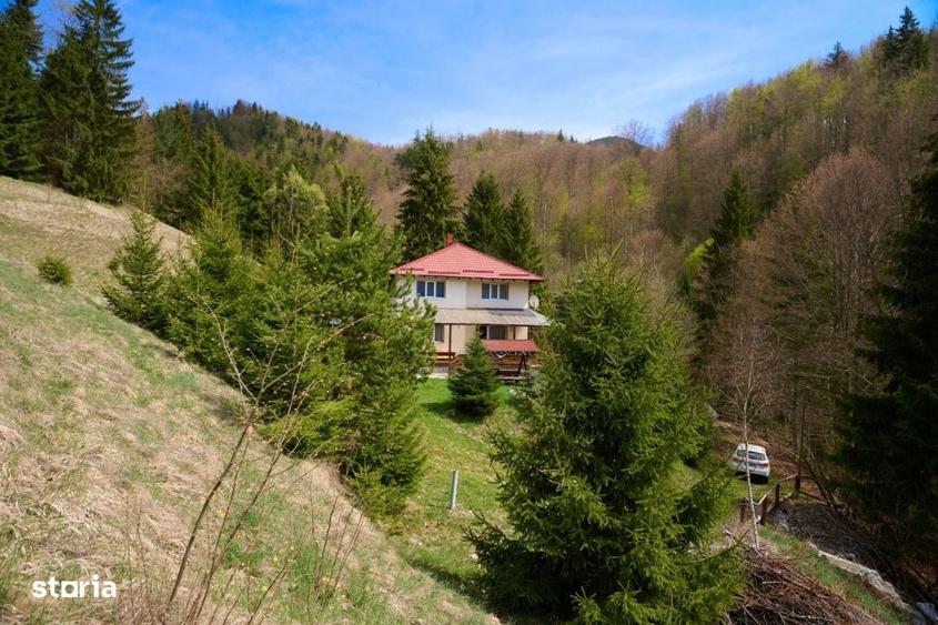Casă cu 4 camere cu Teren 6412 Mp în Dâmbovicioara