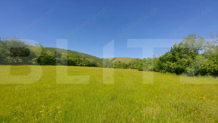Investi?ie 3,6 ha Glamping, Pensiune sau Centru Ecvestru in inima naturii - 1