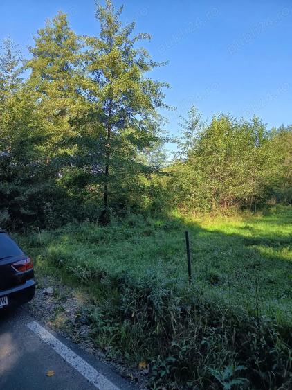 Teren de 4000 mp, în Beznea