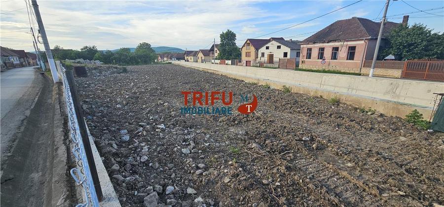 Teren Construcții intravilan de 2453 mp, în Ighiu