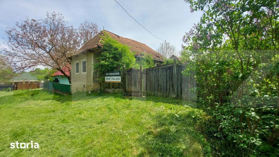 Teren intravilan 4905 mp I Livada I Casa demolabila I Magherus - 7