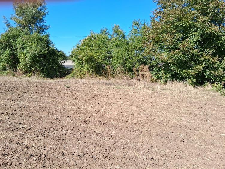 Teren Construcții intravilan de 4998 mp, în Gorgota