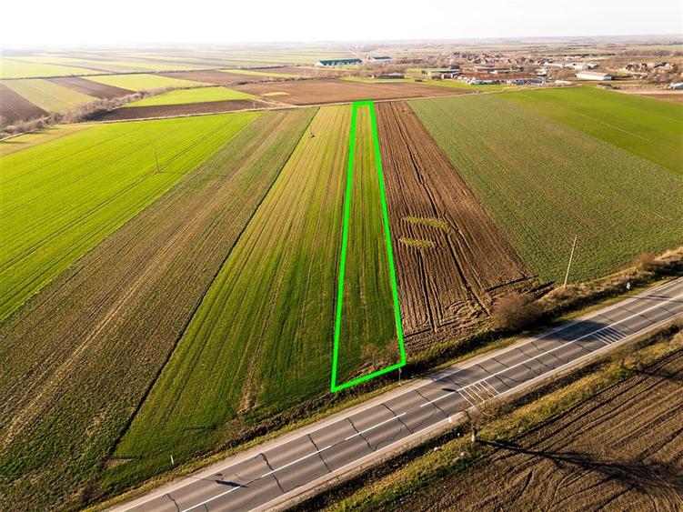 Teren intravilan de 5000 mp, în Tămășeu