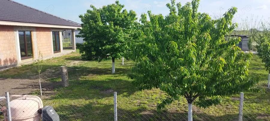Casă cu 4 camere cu Teren 630 Mp în Central