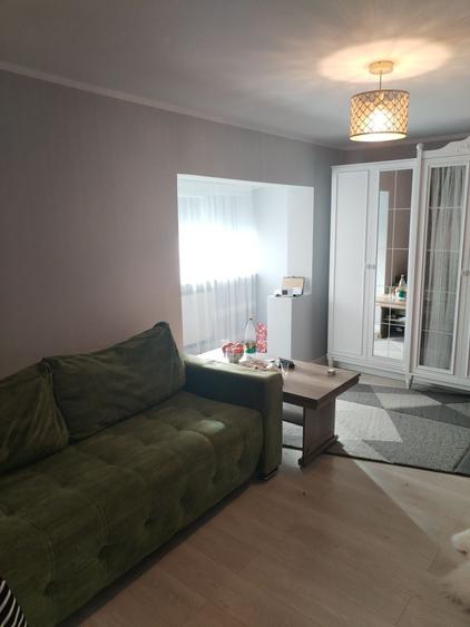 Apartament cu 2 camere decomandat în Paltin